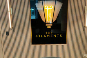 The Filaments